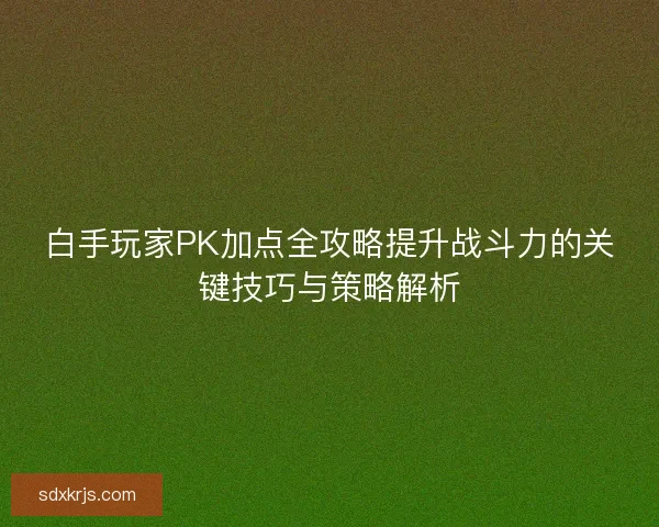 白手玩家PK加点全攻略提升战斗力的关键技巧与策略解析